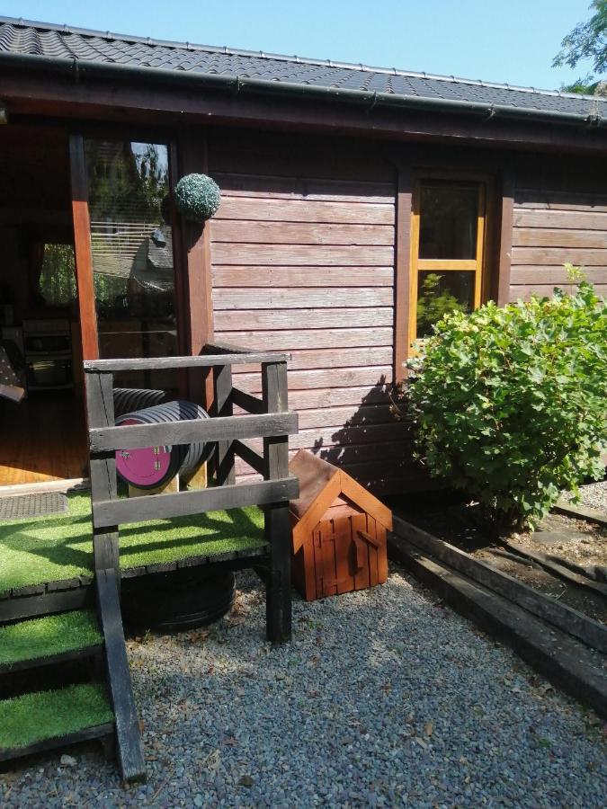 Stay With Your Pet Killarney Exterior foto