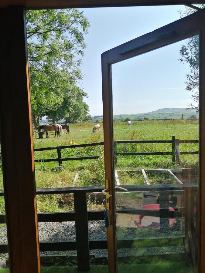 Stay With Your Pet Killarney Exterior foto
