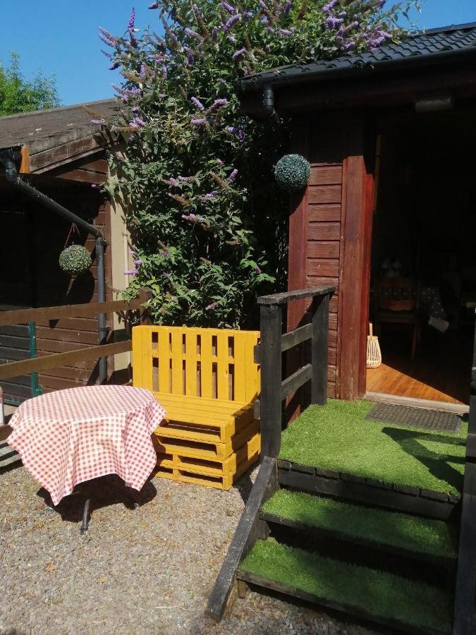 Stay With Your Pet Killarney Exterior foto