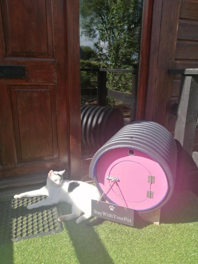 Stay With Your Pet Killarney Exterior foto